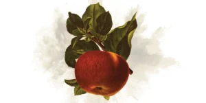 Guiado por el Fruto del Espíritu